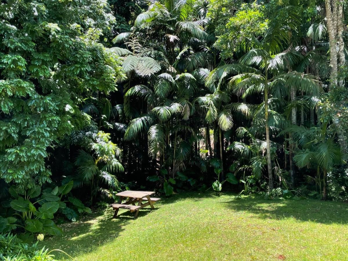 Romantic Cottage, Tamborine Mountain Екстериор снимка