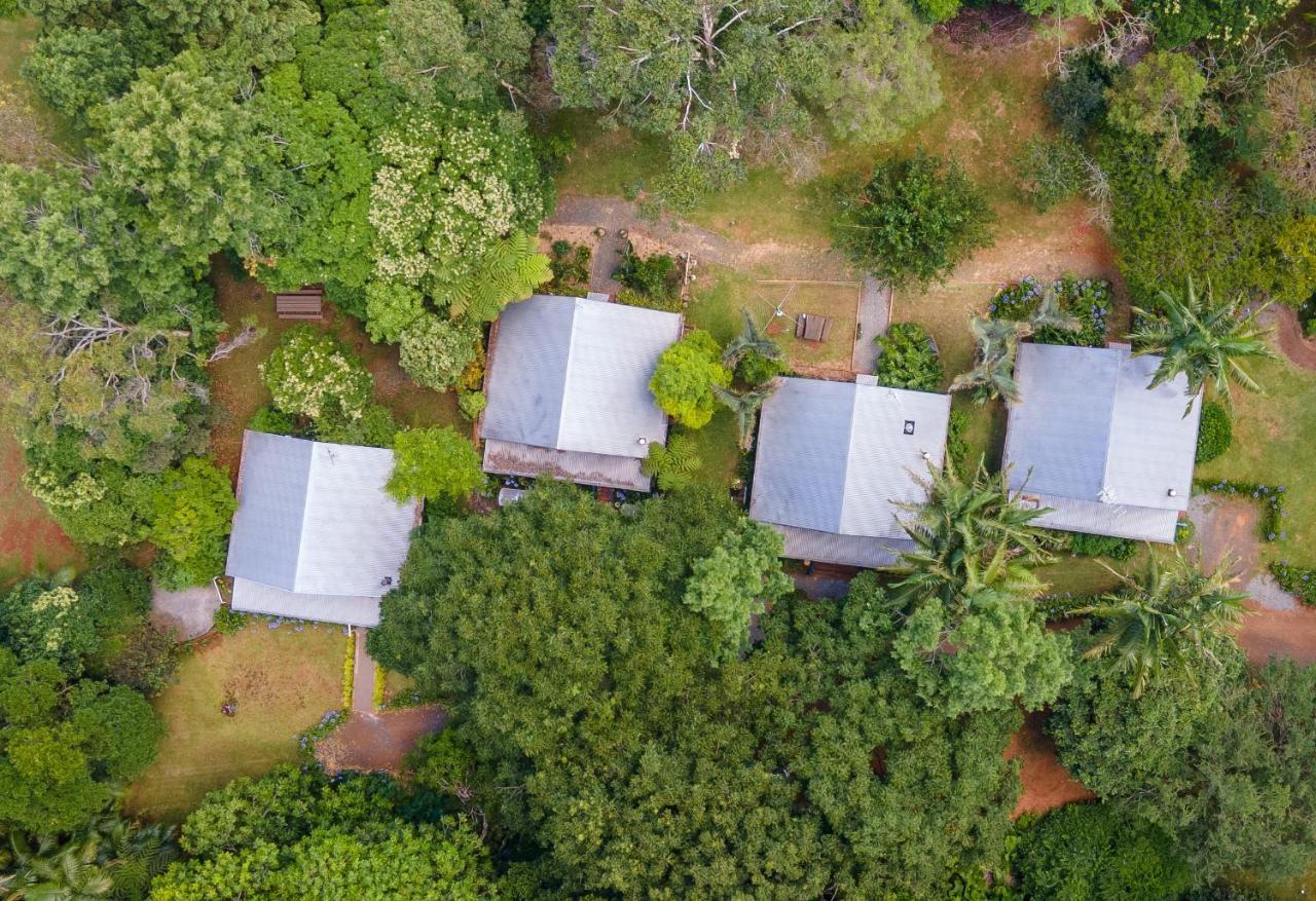 Romantic Cottage, Tamborine Mountain Екстериор снимка