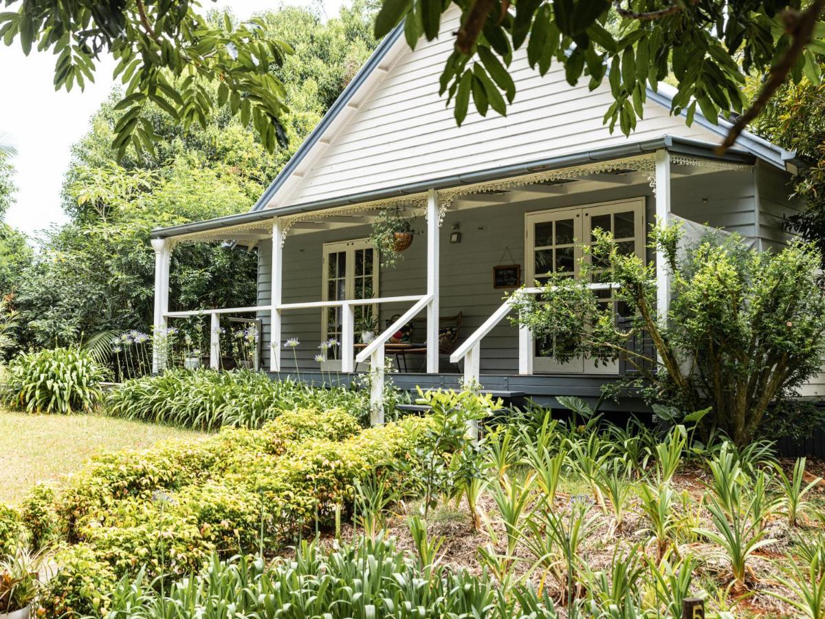 Romantic Cottage, Tamborine Mountain Екстериор снимка